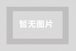 依据Google Ads目的确定跟踪指标